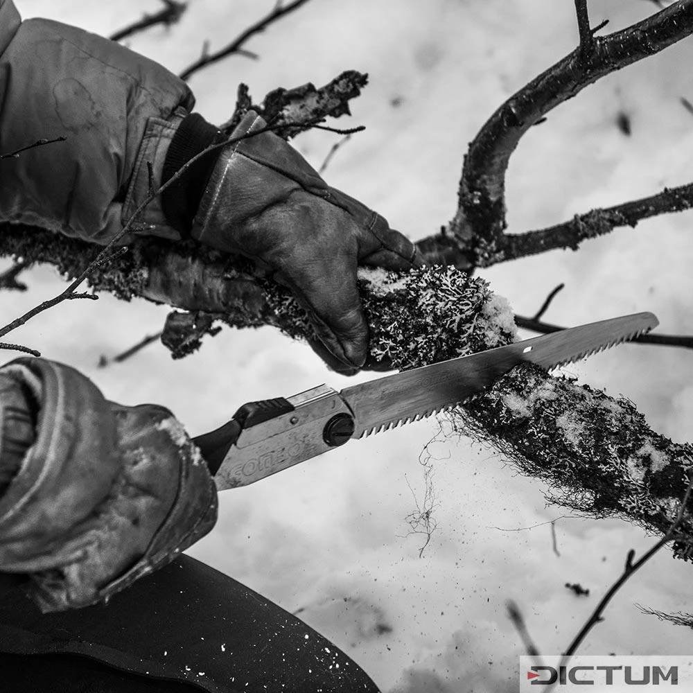 Scie Pliante Silky Gomboy 210-10, De Plein Air – Image 4