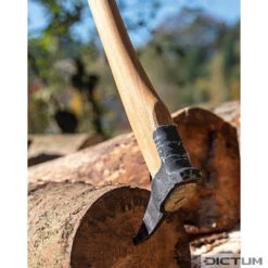 Sapie Forgée à La Main DICTUM -Veritas Soldes Boutique 800576 02 A WE 8 DICTUM Sapie handgeschmiedet WZ jpg