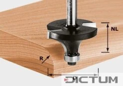 Festool Fraise à Moulurer HW S8 D20,7/R4 KL